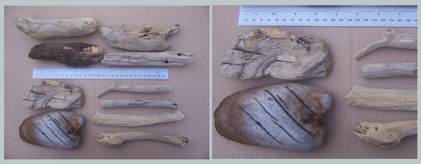 14062014 001 10to20cm Driftwood pieces for sale South Africa