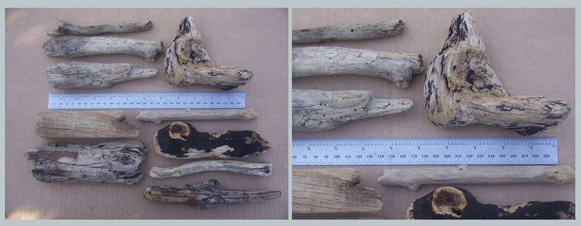 14062014 002 10to20cm Driftwood pieces for sale South Africa