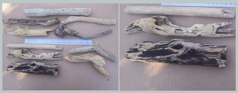 14062014 003 20to30cm driftwood for crafts