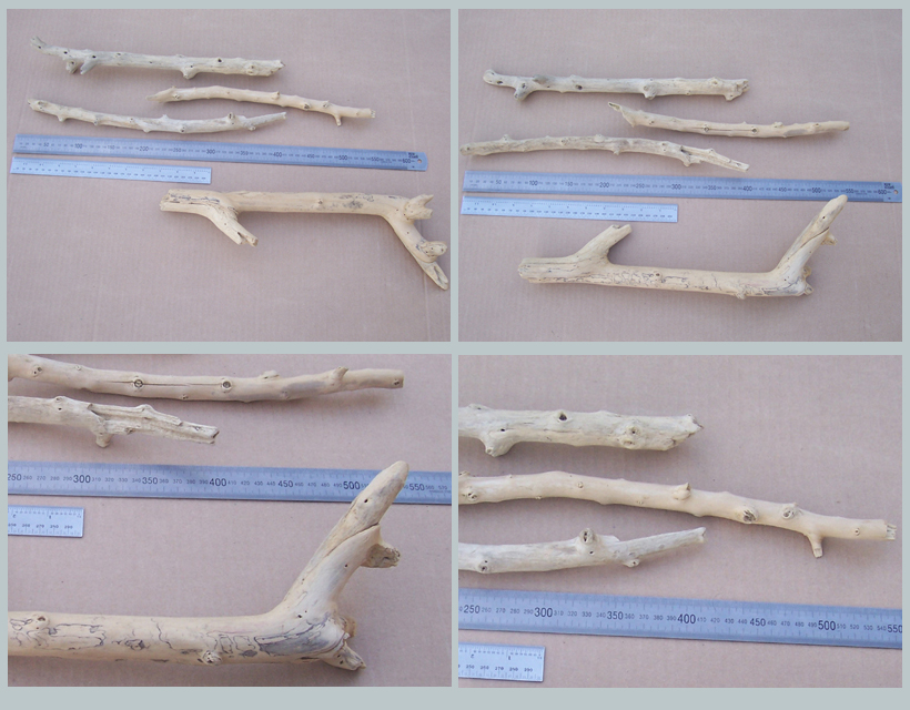 17072014 spcl 003 - four special pieces of driftwood