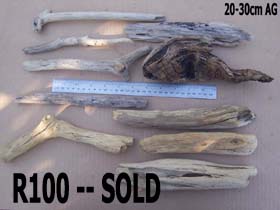 coastal driftwood 20 to 30cm in length