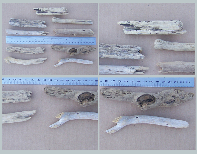 29072014 spcl 002 nine small driftwood pieces
