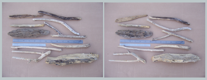 10 pieces of driftwood 29072914 003 30to45cm