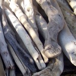 Choosing your driftwood pieces