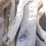 driftwood uses