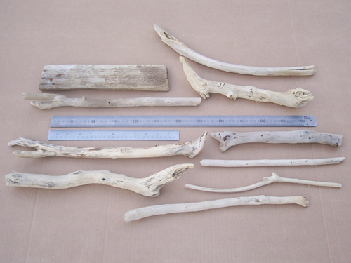Driftwood pieces of between 30 and 45cm in length each