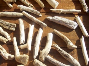 drying and bleaching driftwood naturally in the sun