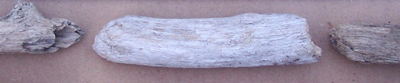 white driftwood