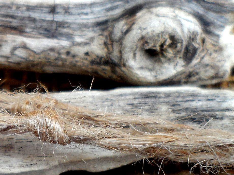 Hemp and driftwood