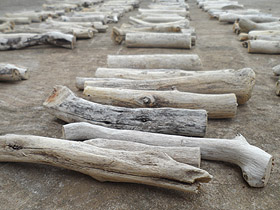 1cm to 2cm wide small driftwood pieces