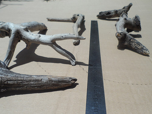 driftwood lot 150119C - curved