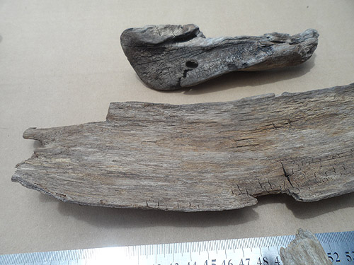 driftwood lot 150119D - thin bark