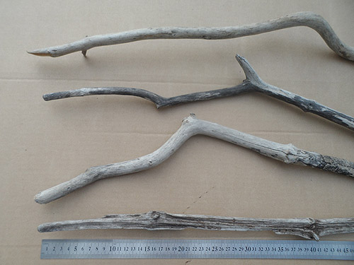 driftwood lot 150119E - long thin pieces