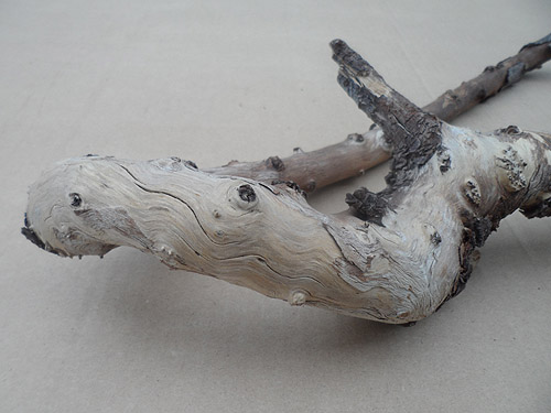 driftwood lot 250119B - first piece close up