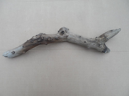 driftwood lot 250119B - third piece