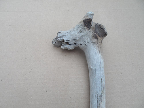 driftwood lot 250119C - giraffe