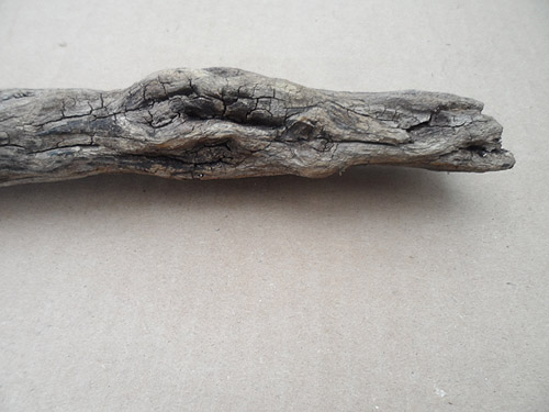 driftwood lot 250119D - crocodile
