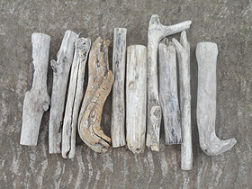 lightly bleached driftwood pieces
