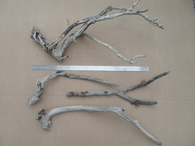 driftwood for sale lot 250119C