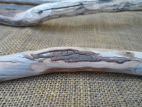 driftwood lot 050219A - interesting texture