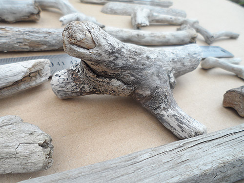driftwood lot 130219B - interesting piece