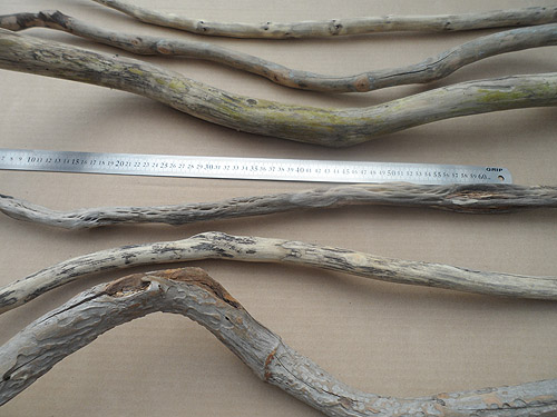 driftwood lot 170419A - curved