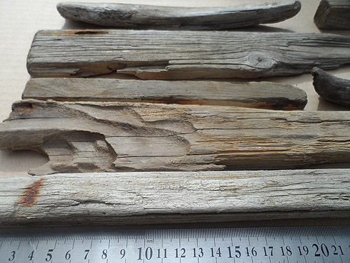 driftwood lot 170419B - flat driftwood
