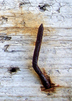 rusty nail on driftwood - Driftwood for Sale